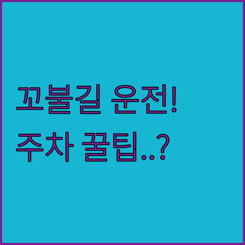 꼬불꼬불 길 운전 롬바드 스트리트 주..