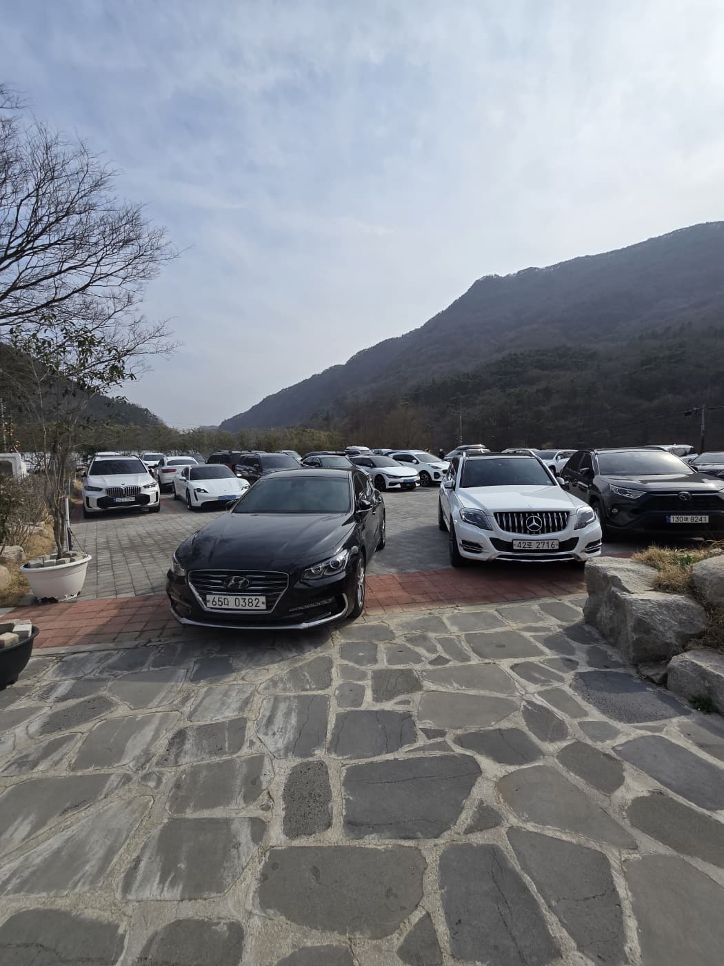 PINE 40 주차장