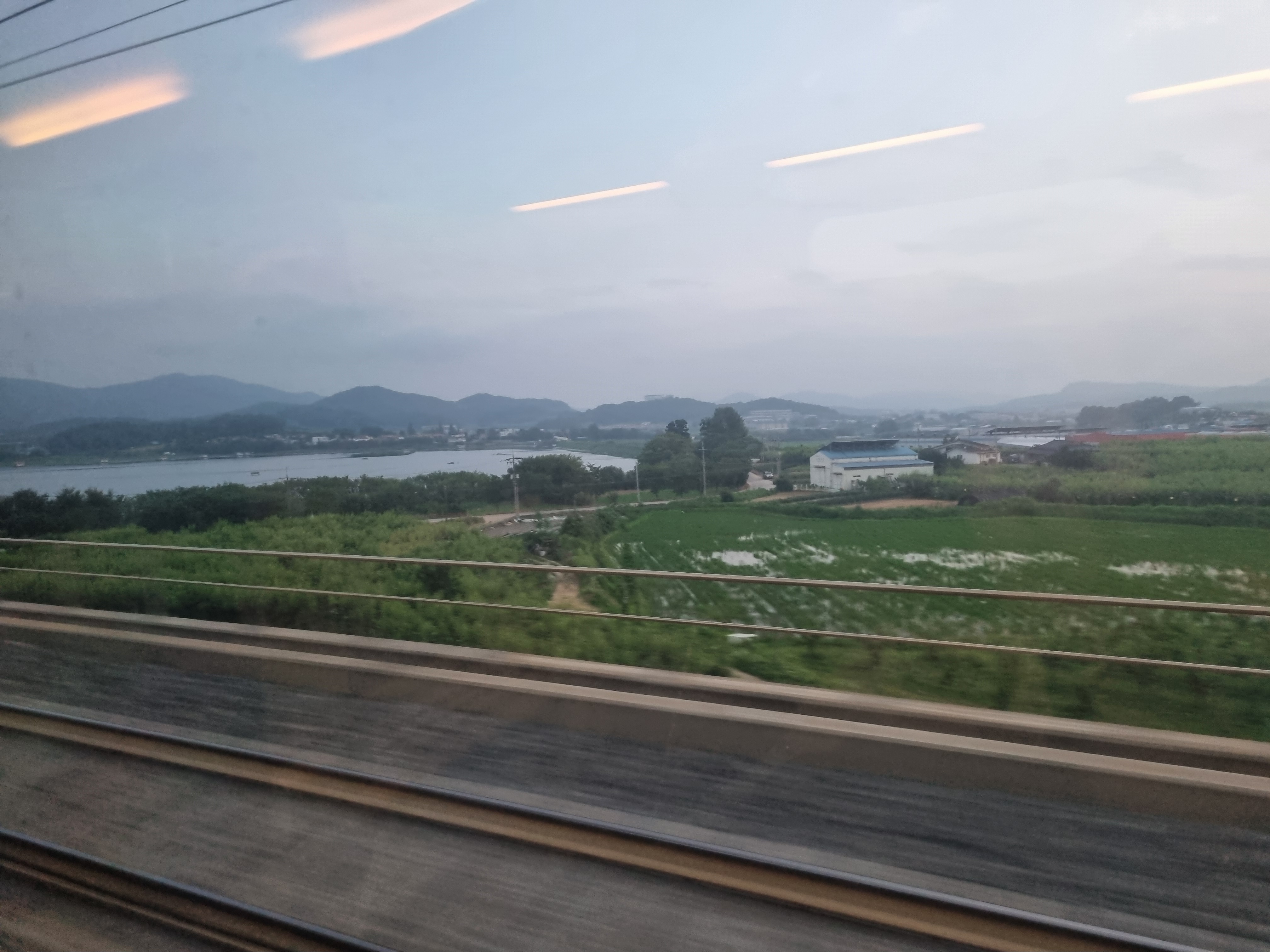 기차와 여름 풍경 사진('25.6.28)