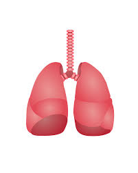 폐에 물이 차는 원인