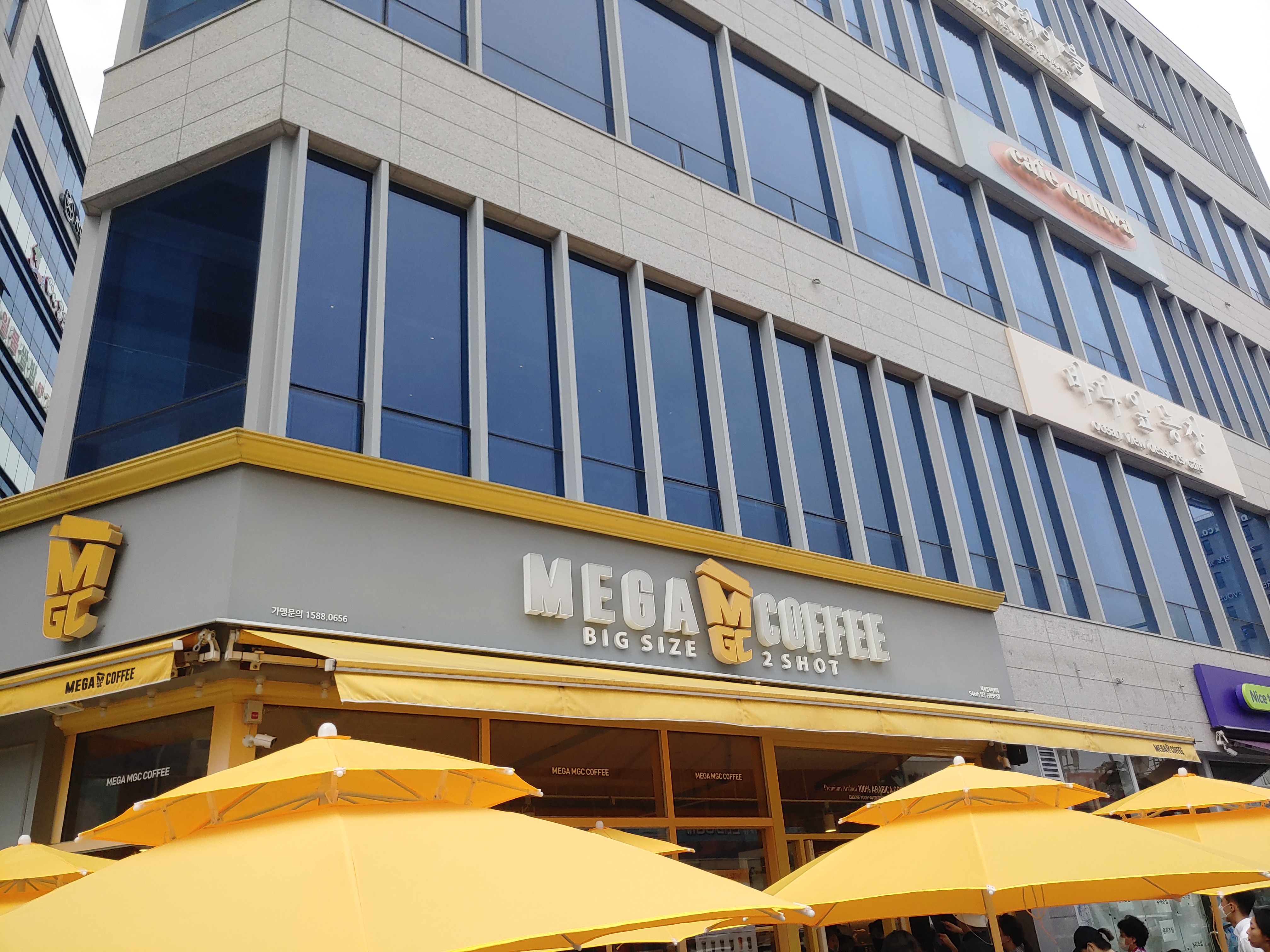 구읍뱃터 메가커피