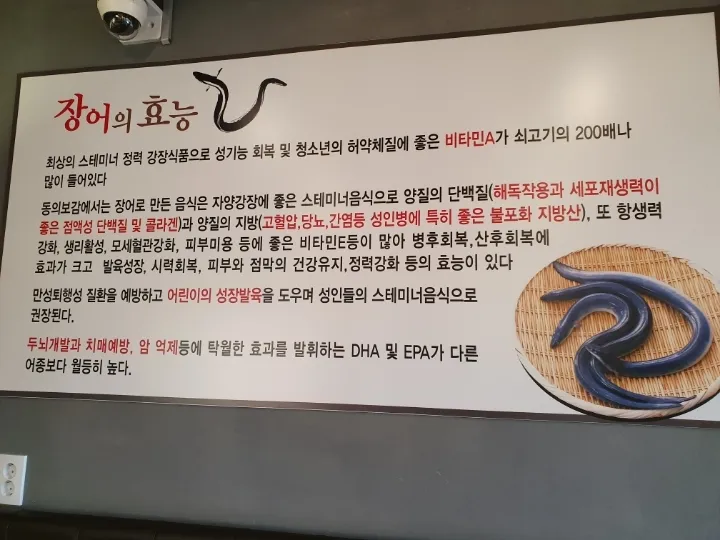 장어 효능 장어와 상극인 음식 건강 상식_4