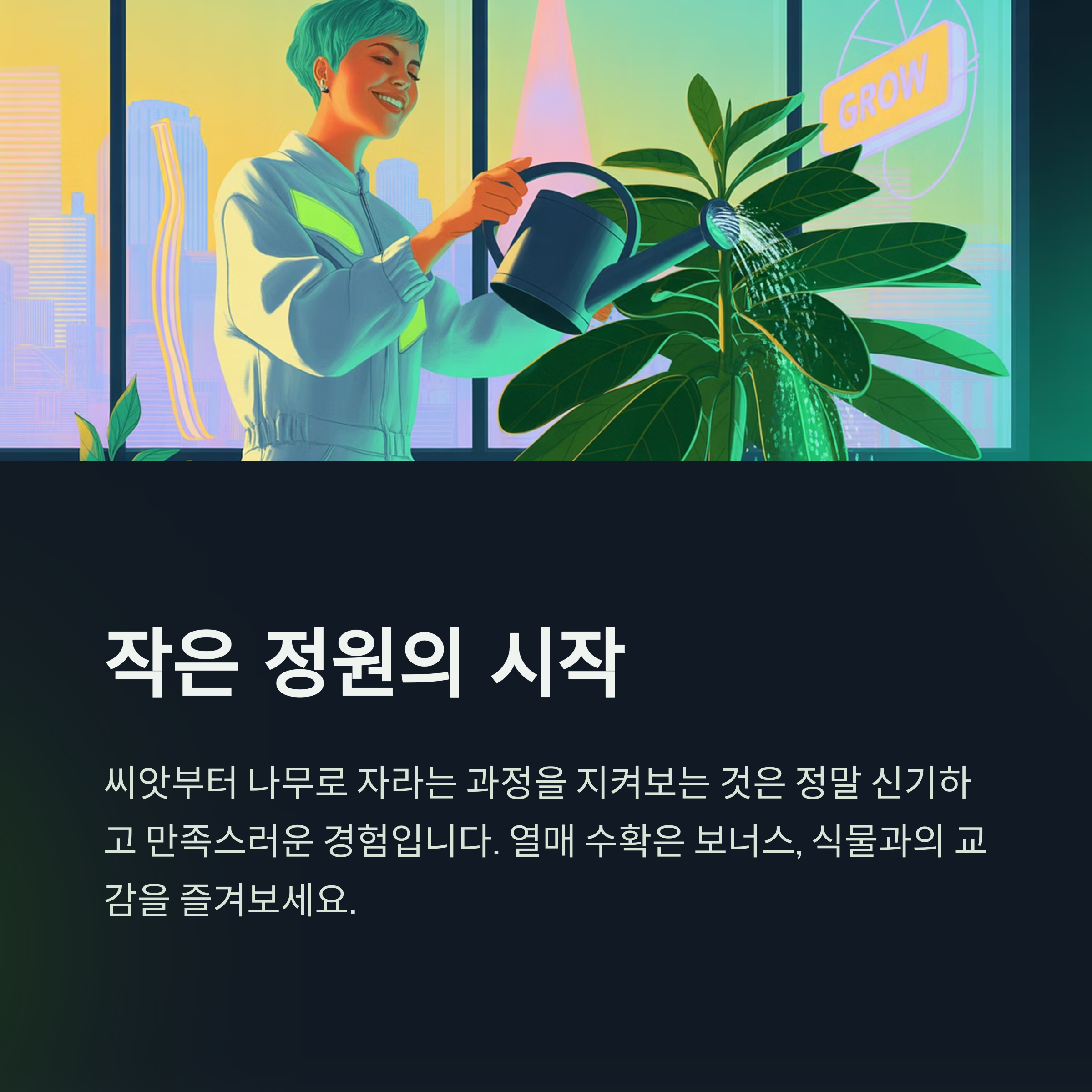 아보카도 키우기는 인내와 소소한 즐거움이 함께하는 취미입니다