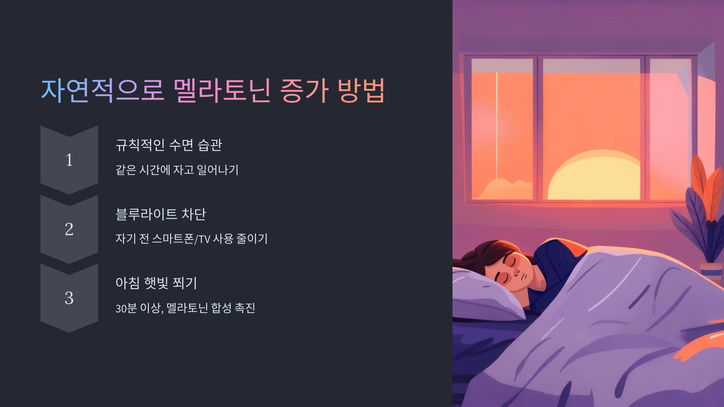 멜라토닌과 관련된 사진입니다.