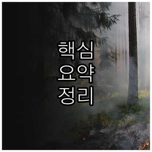 출산하면 2025 영덕군 720만원?..