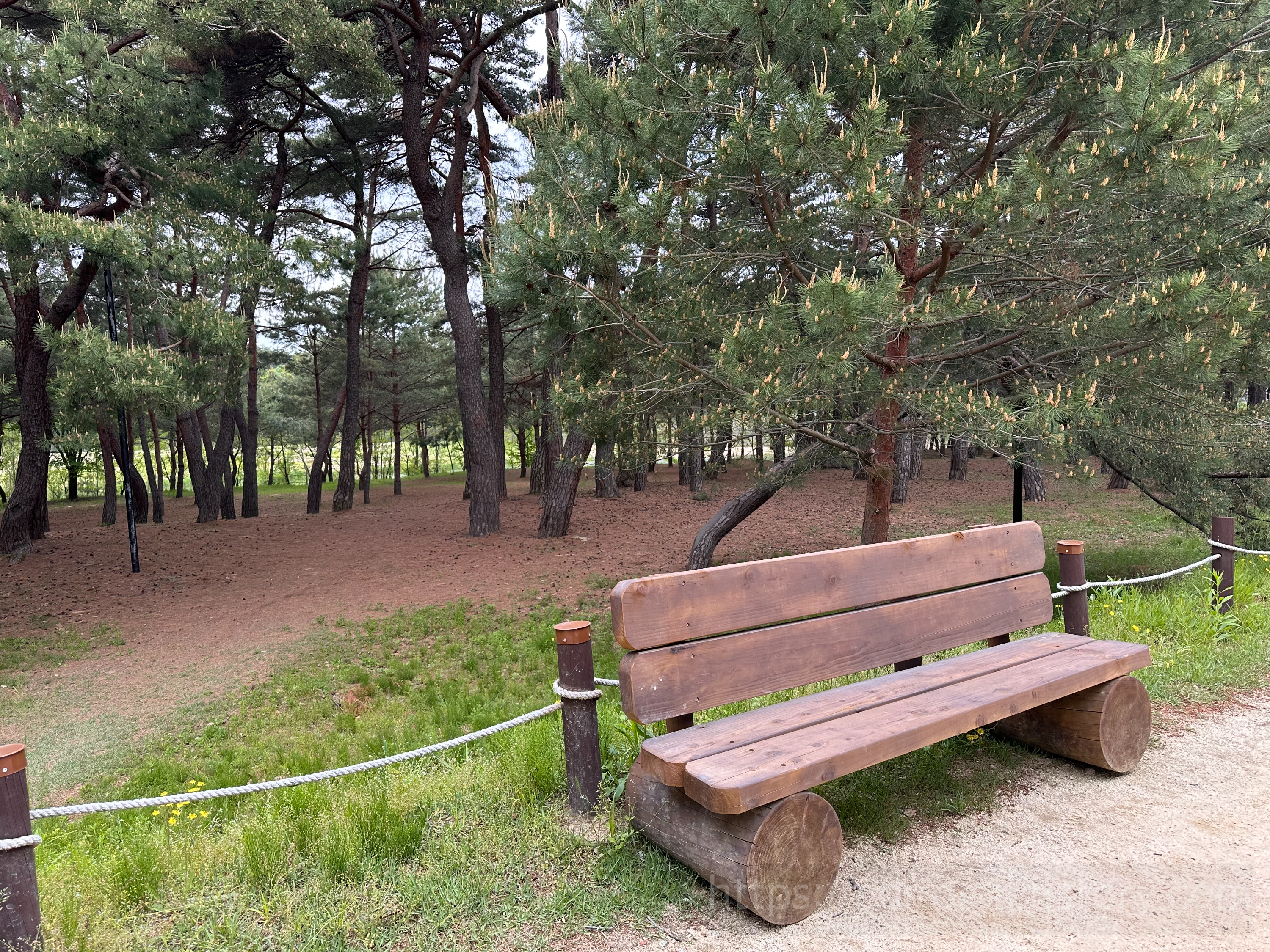 안동하회마을 중간중간에 벤치도 있어요