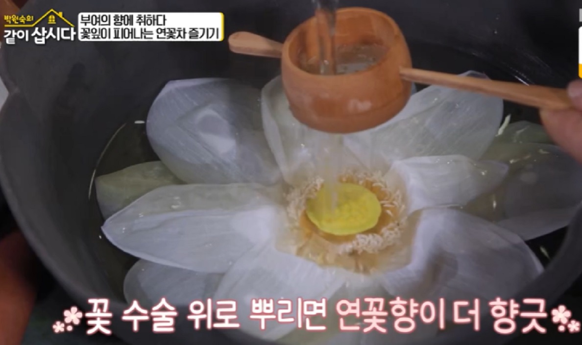 박원순의-같이삽시다-부여-연꽃차-연꽃빵-백제향