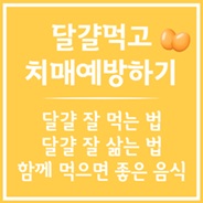달걀먹고 치매 예방하기