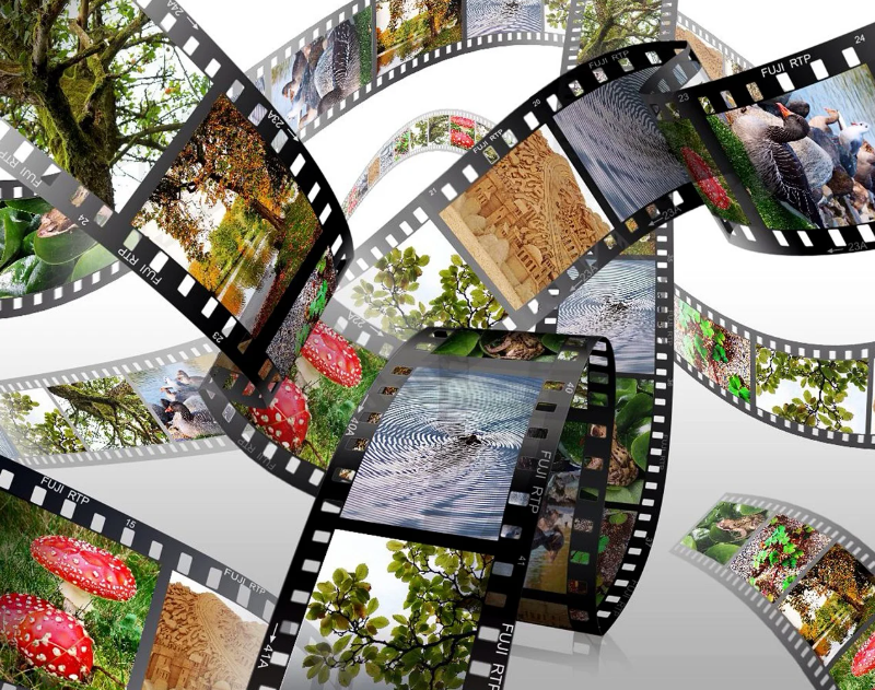 영화 필름지 사진