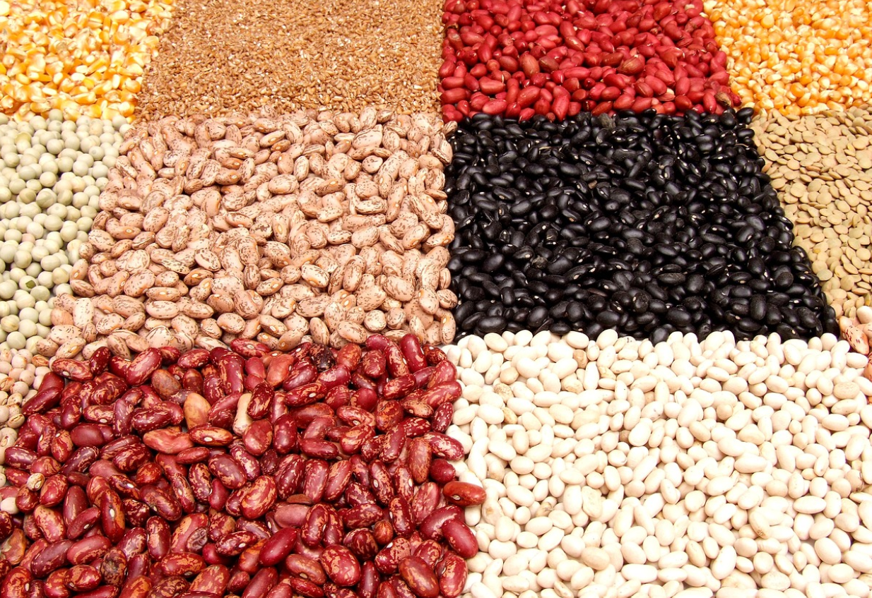 혈압-낮추는-음식-콩