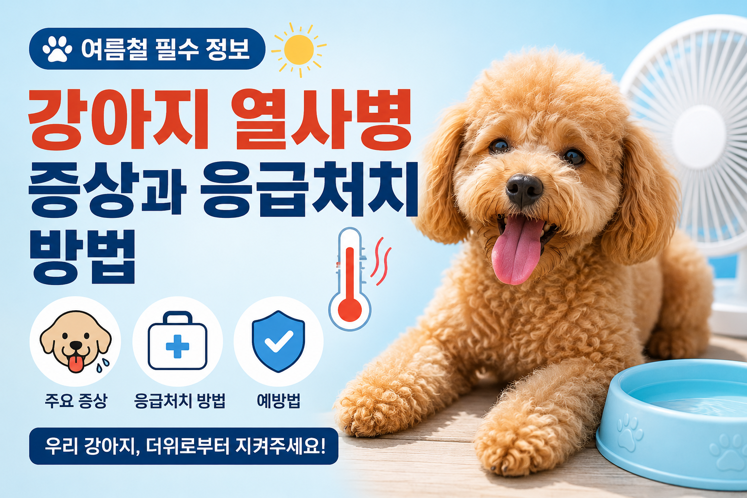 강아지 열사병 증상과 응급처치 방법