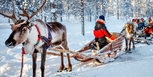 핀란드 덴마크 북유럽 국가 취업 전략에 대하여