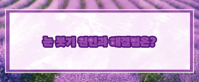 눈이 붓는 증상 원인과 대처법 (+총정리)