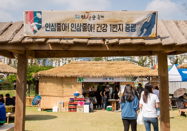 증평 인삼골 축제
