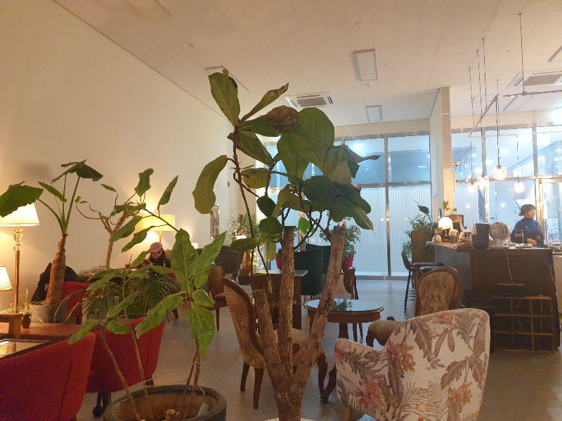 화분이 중간중간 놓여 보기 좋다. 중간중간 붉은 의자가 포인트를 잡아준다.