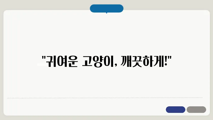고양이 목욕 필수인가? 집에서 간편하의 최대