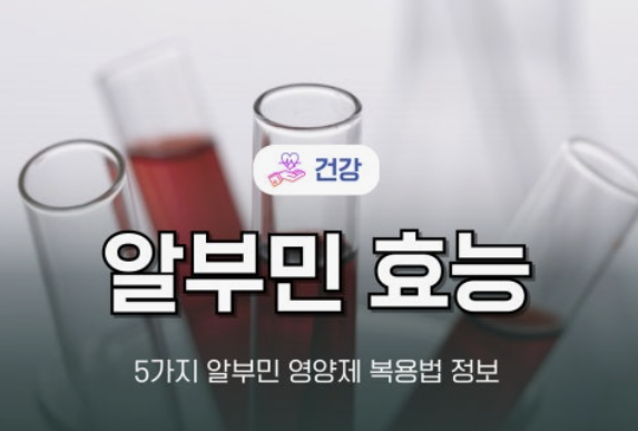 알부민의 효능