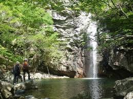 여름에 걷기 좋은 숲길 10