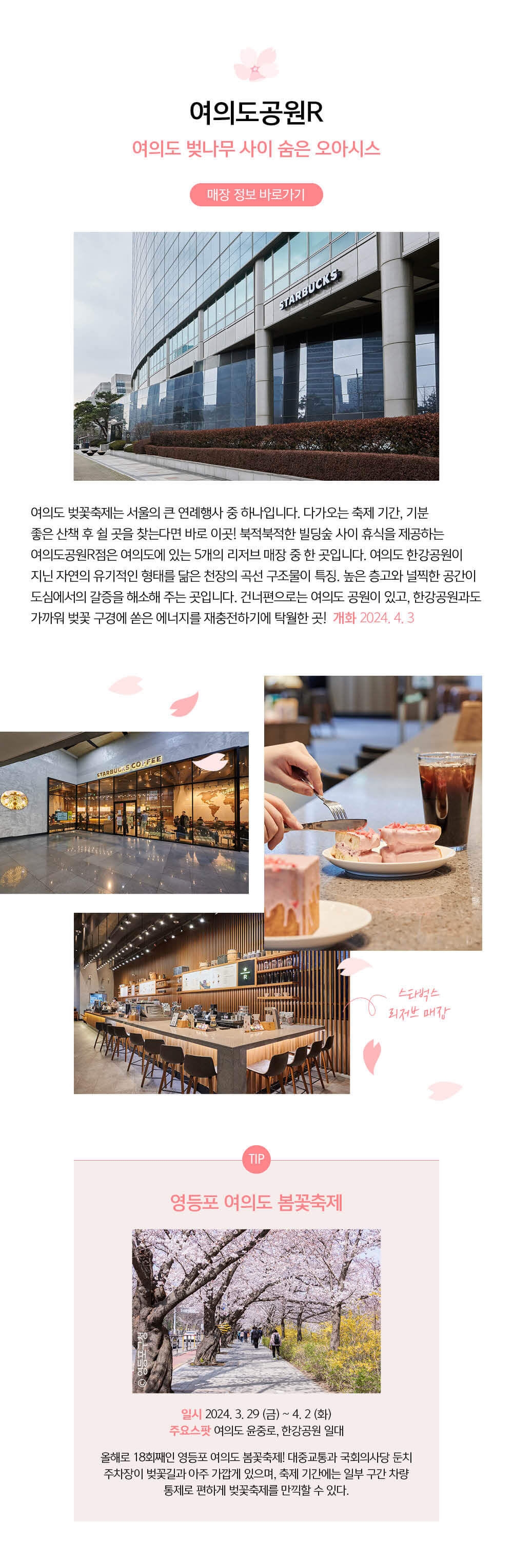 스타벅스 벚꽃뷰 매장 여의도공원