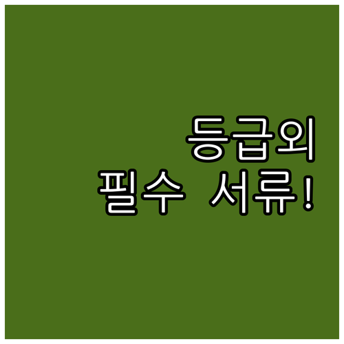 장기요양 등급외 어르신 2025년 보..