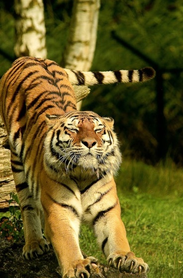 50대 여성을 위한 운동추천 20가지