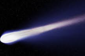 ENFP 유형 특징 분석