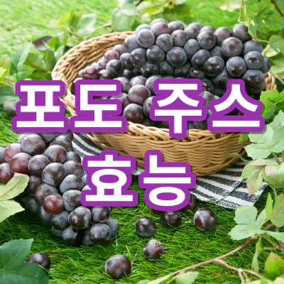 암-예방-포도주스-효능