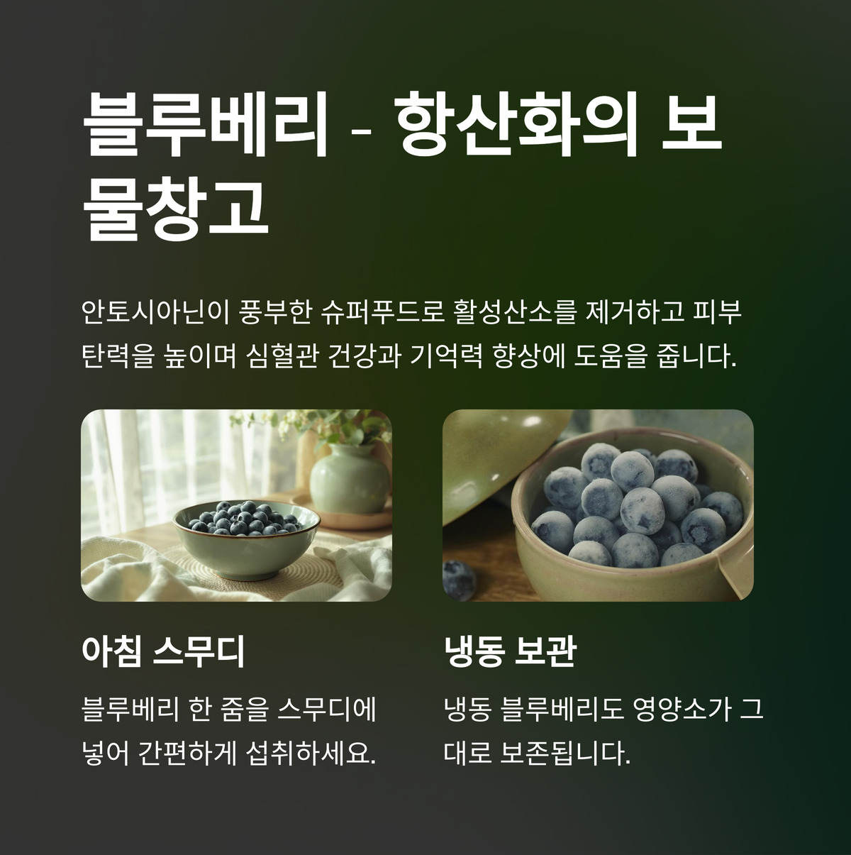 블루베리 – 항산화의 보물창고