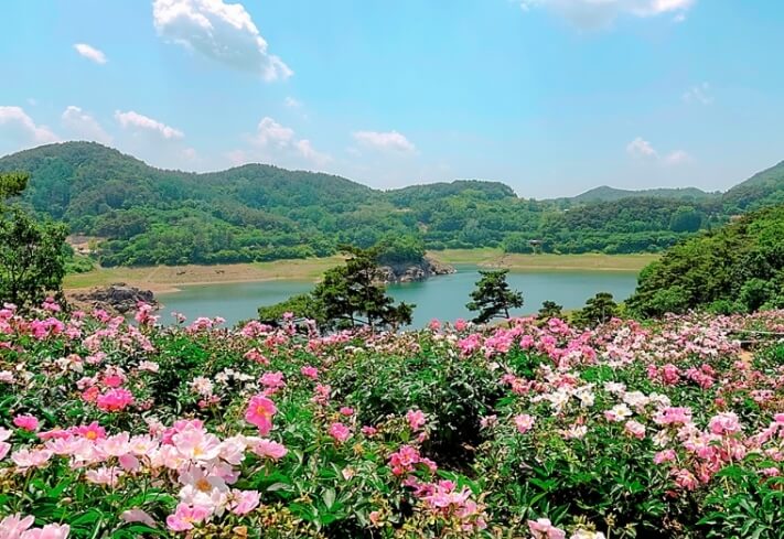 임실 가볼만한곳 베스트 10