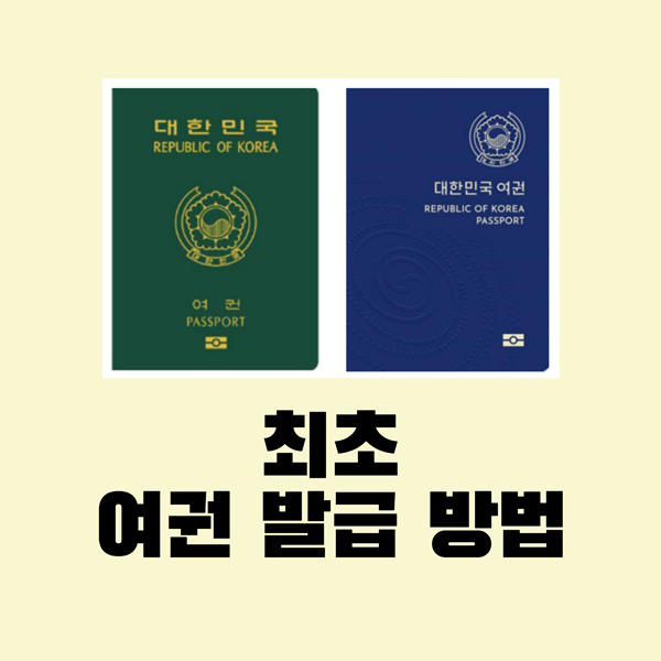 여권 발급