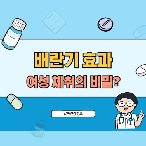 배란기-효과-여성-체취