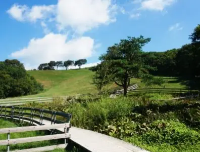 대관령-양떼목장-입장료-주차장-운영시간