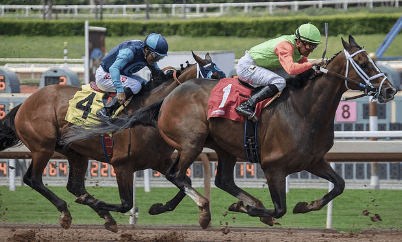 2024 렛츠런파크 서울 가을축제 밤마실 페스티벌