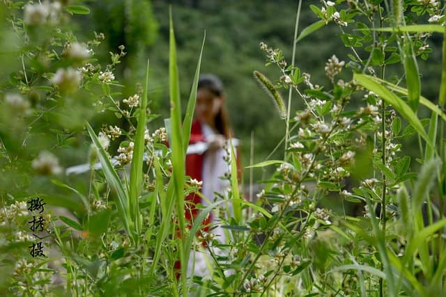 사라진 고대 스포츠: 지금은 찾아볼 수 없는 전통 경기들
