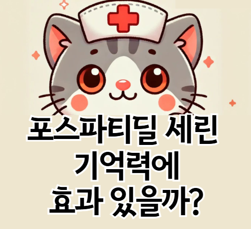 포스파티딜 세린 효능, 기억력에 진짜 효과 있을까? 연구 기반 정리