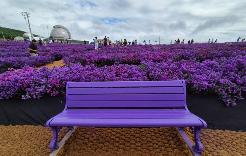 감악산 별바람언덕 아스타축제 가이드 사진