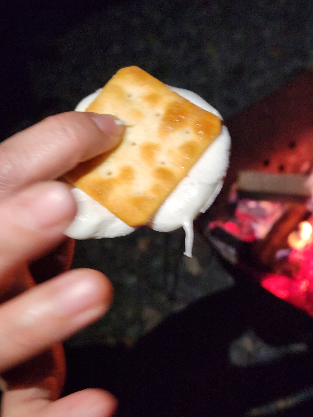 밀양 은하수캠핑 관광농원