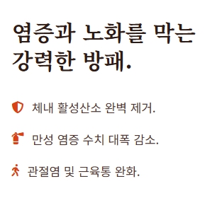 계피가루 효능