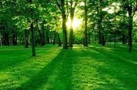 도시가스 캐시백 신청방법 절약하는 꿀팁