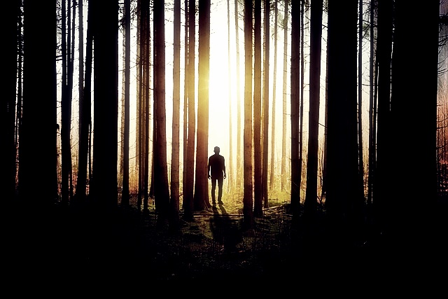 국립자연휴양림 예약