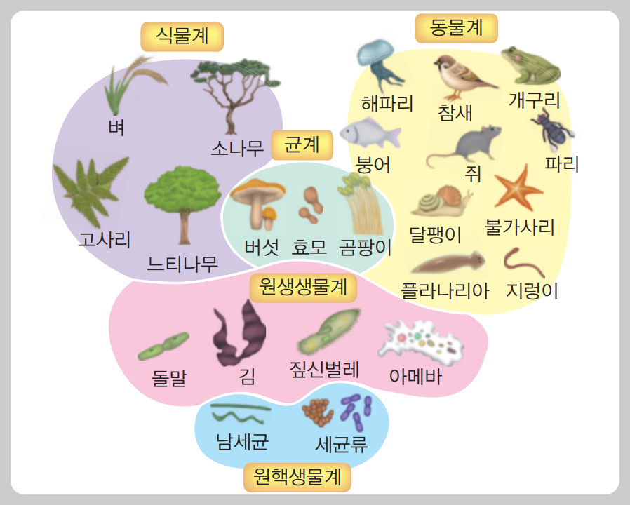 생물 분류 기준