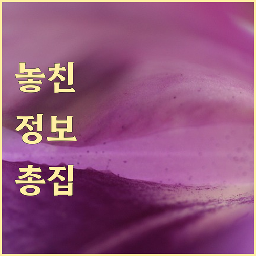 ESTA 승인 거절 막는 법? 수수료..