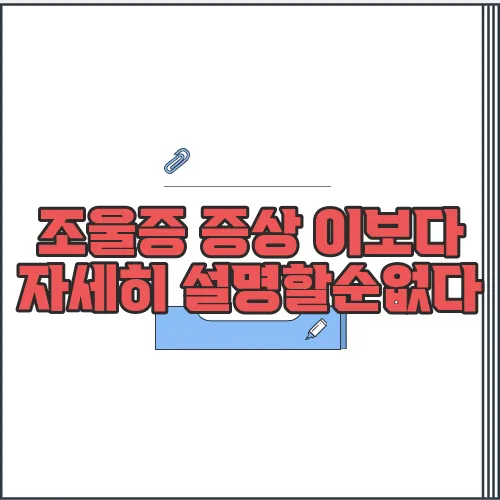 조울증 증상 이보다 자세히 설명할순없다
