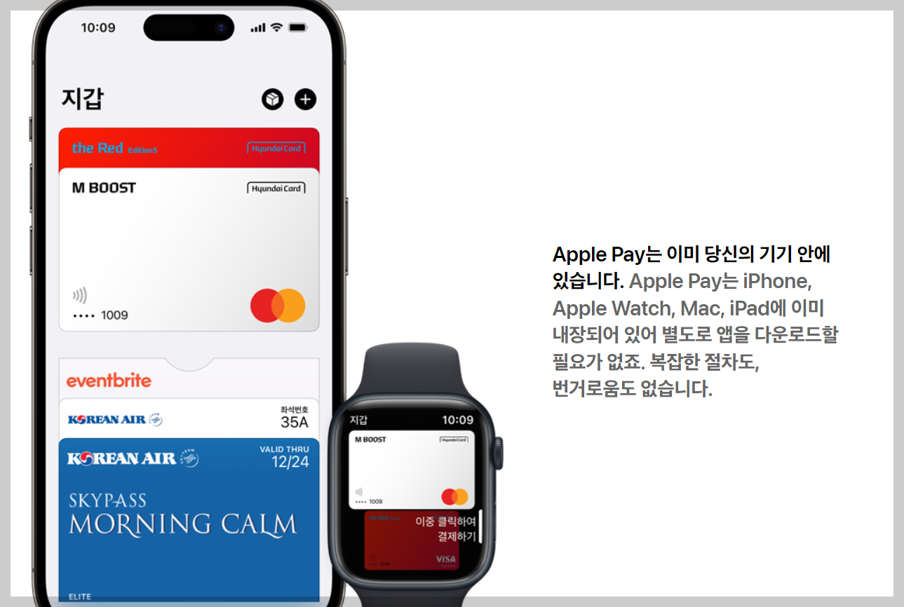 Apple Pay