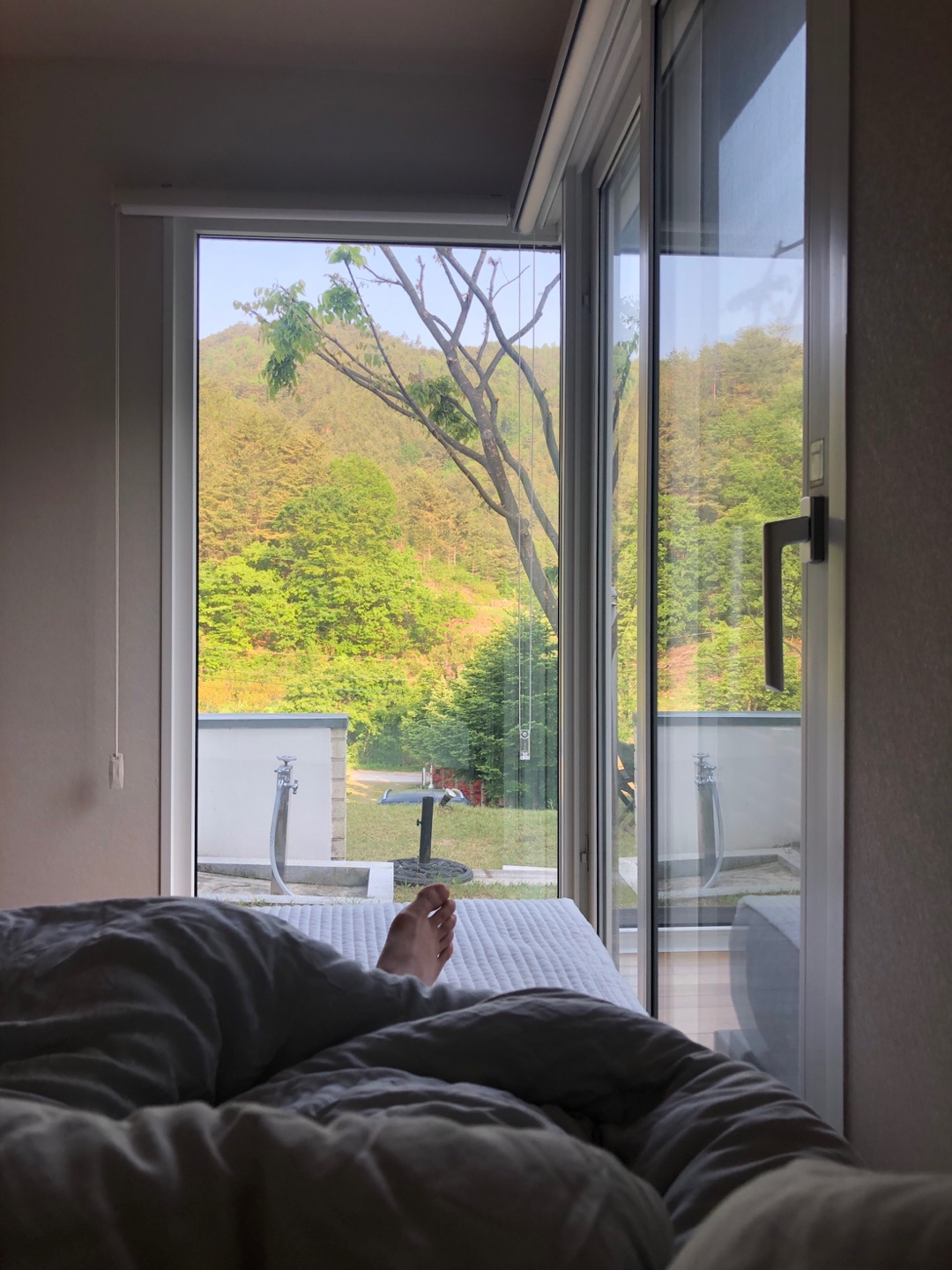 삼척 숙소 펜션 독채