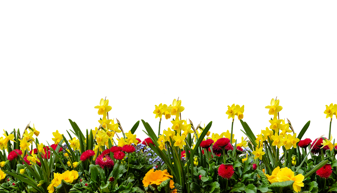 서울 근교 1시간 여행지 추천 │ 당일치기 힐링 코스 TOP 5