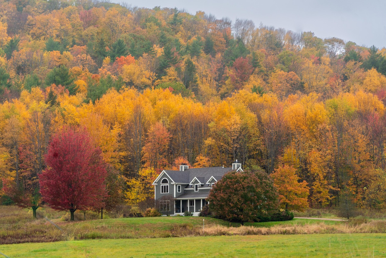 버몬트(Vermont) 에어비앤비 예약하기