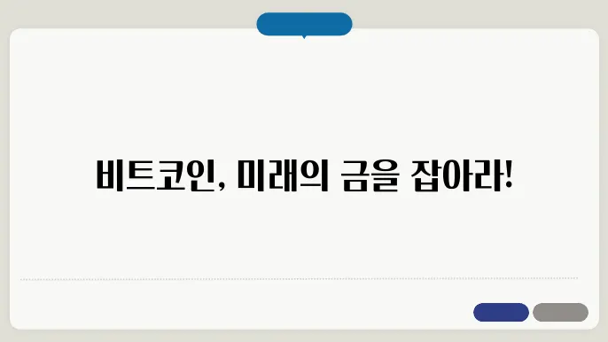 비트코인 결론