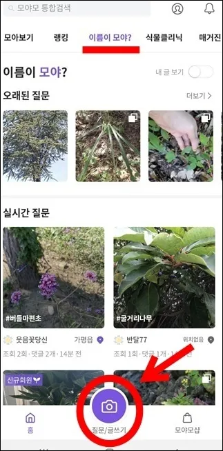 모야모-글쓰기