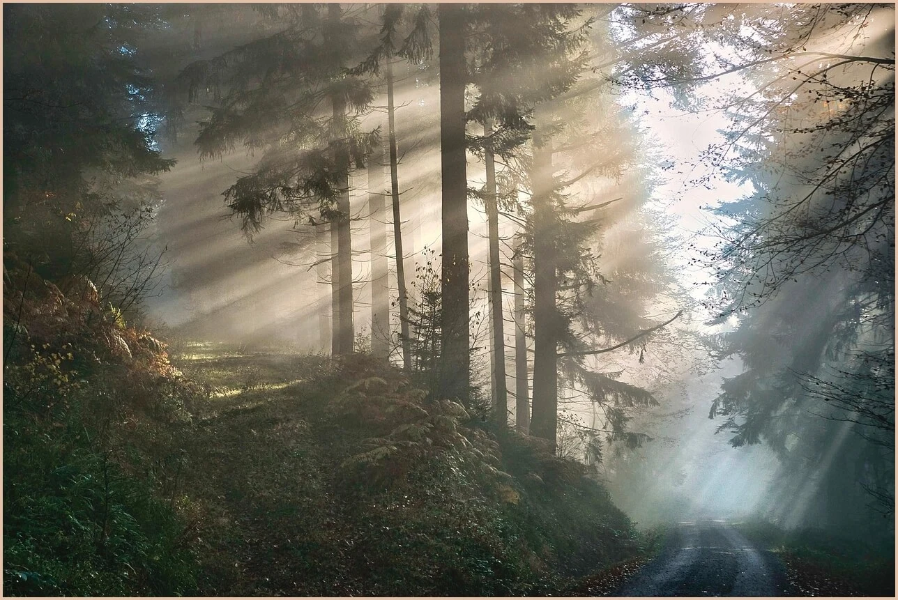 기업은행 정기예금 금리